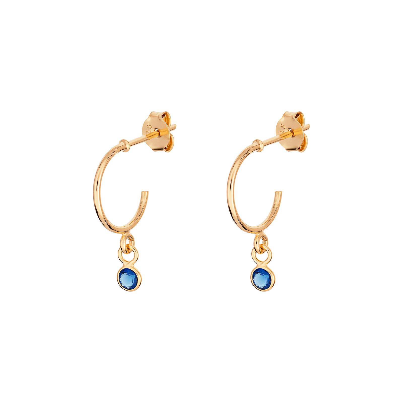 September G/P Hoop Earrings